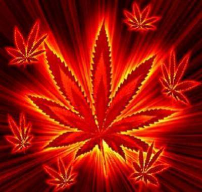et oui le canabis c bon !!!